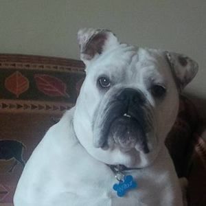 Meet your Posher, Anne